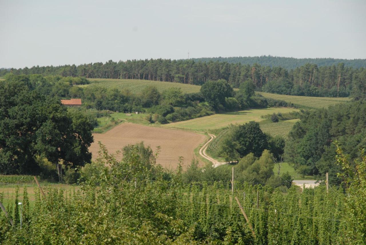 Ferienwohnung Passivhaus "Schoene Aussicht" Georgensgmund المظهر الخارجي الصورة